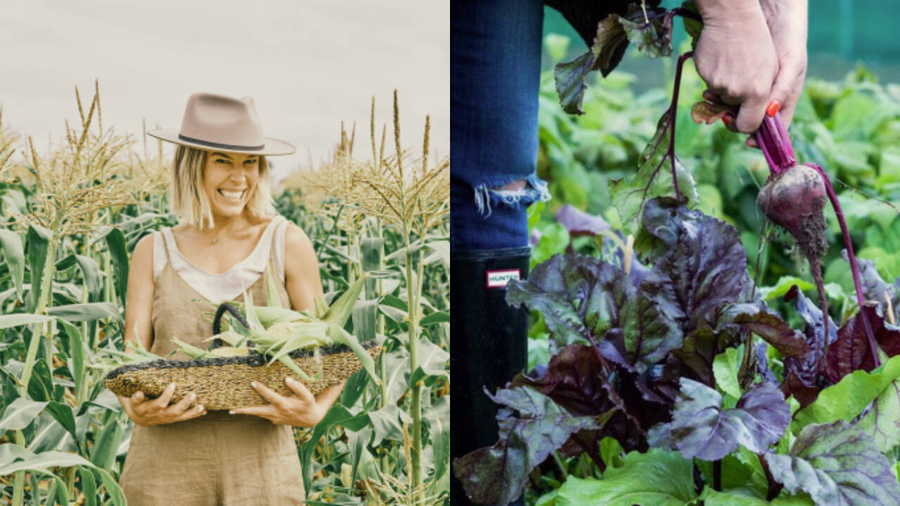 Young entrepreneur builds $5 million food business from modest kitchen start