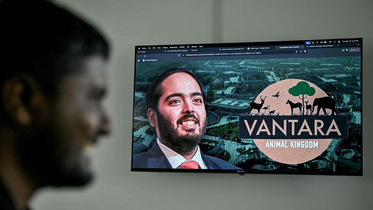 Vantara Zoo Announces Major Overhaul Amid Animal Import Concerns