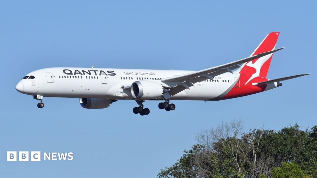 Qantas grounds aircraft following passenger bedbug complaints