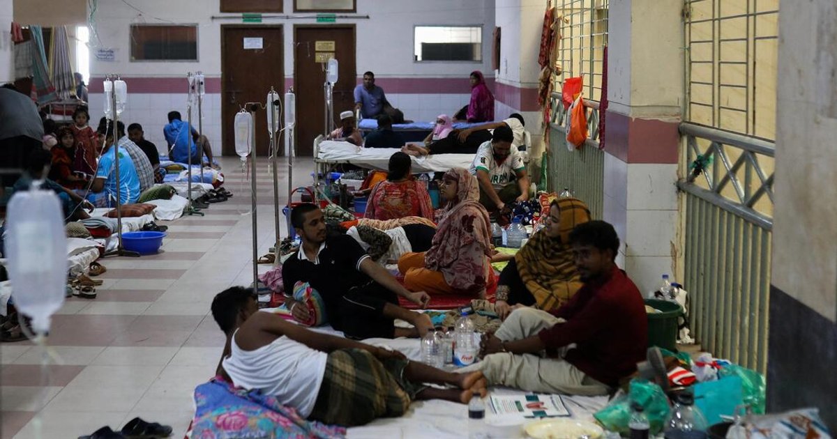 Bangladesh dengue deaths mount as health crisis deepens