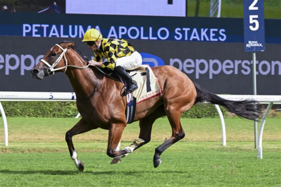 Winx faces pivotal clash as rival mare challenges dominance