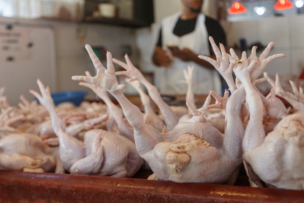 Pembekal Ayam Puchong Ditutup Dua Minggu Akibat Pelanggaran Halal