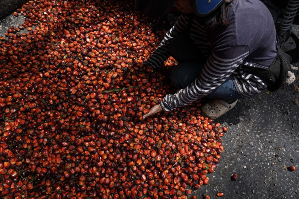 JCorp Nafikan Kaitan dengan Kebakaran Hutan Indonesia, Potong Hubungan Lama