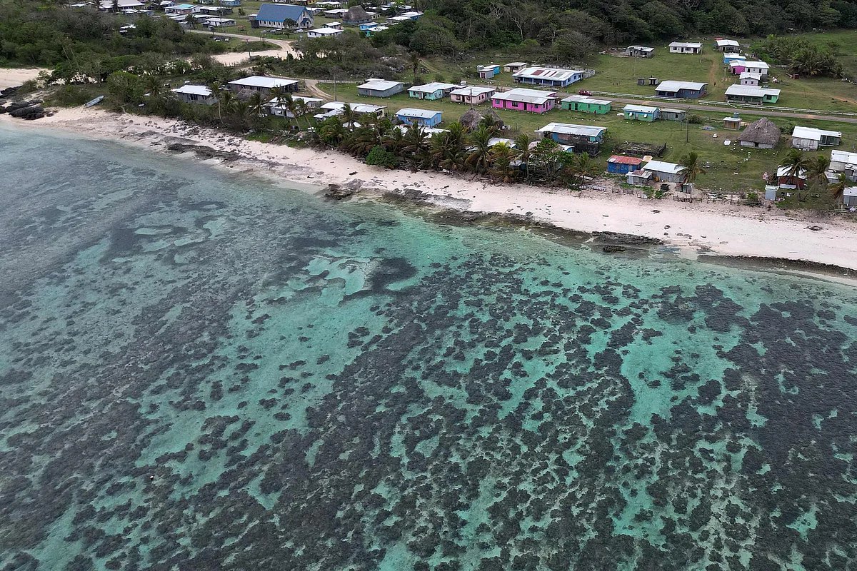 Global coral reefs face near-total collapse within 50 years