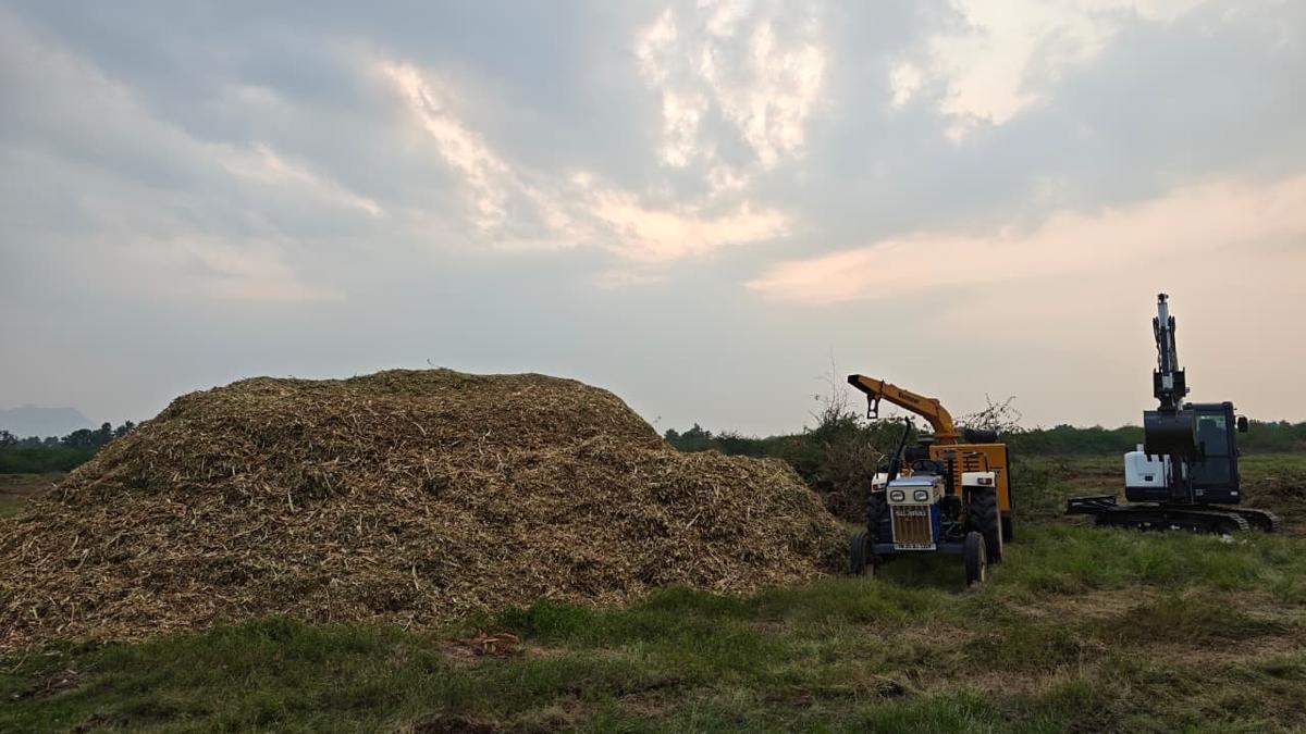Water Resources Department launches invasive plant removal from Palar River tanks
