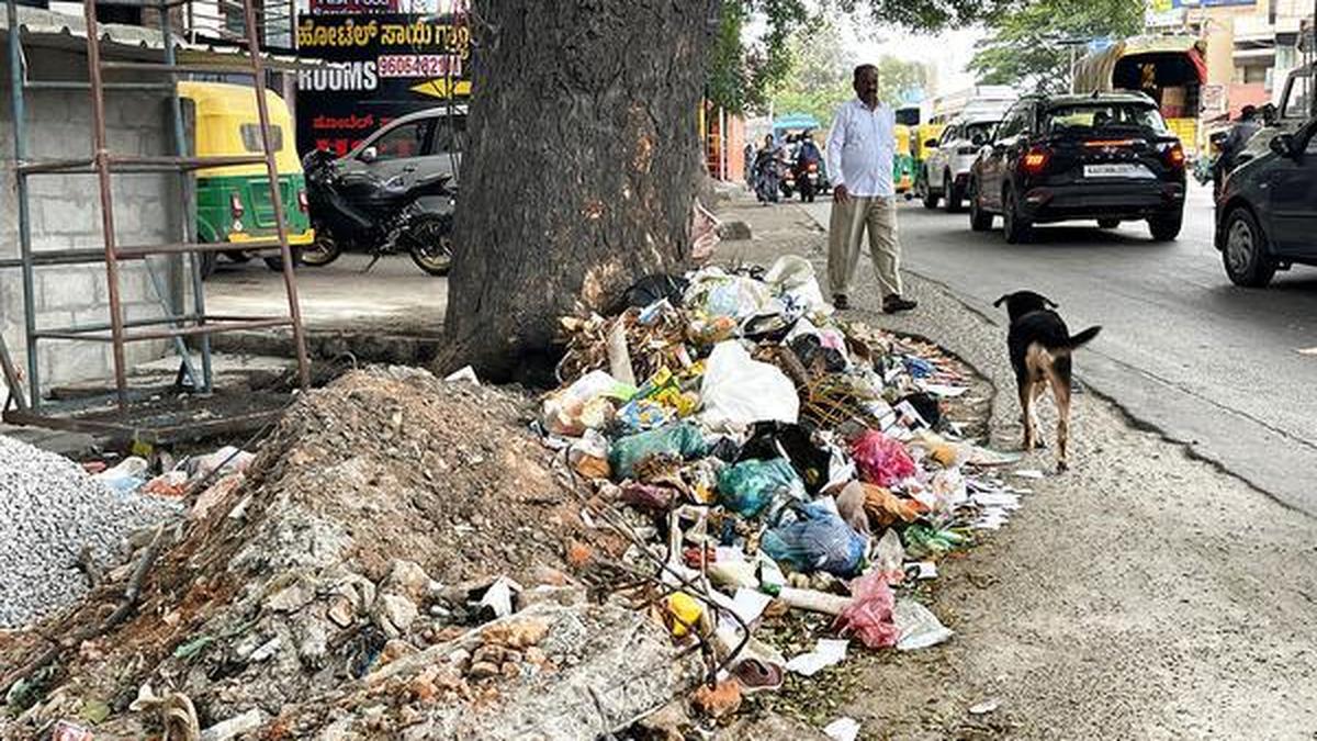 Bengaluru South deploys AI cameras to monitor civic violations