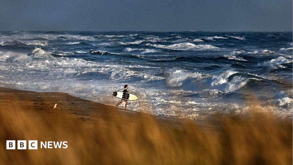 Medical aircraft with six aboard vanishes off Massachusetts coast