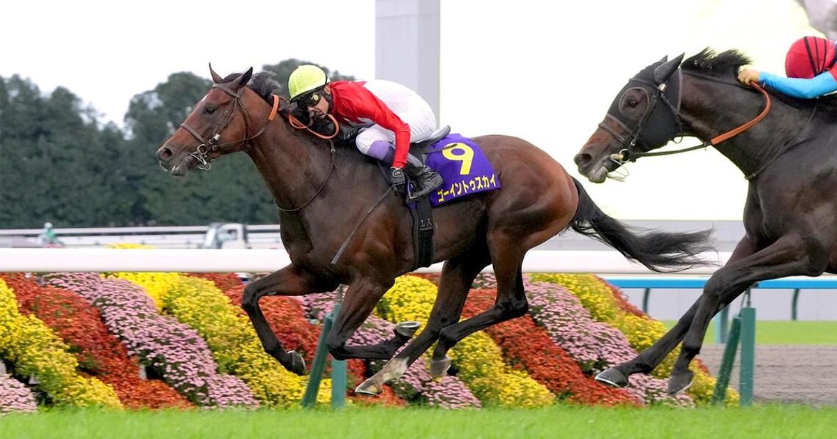 Going To Sky wins Japan's prestigious Kikuka Sho horse race