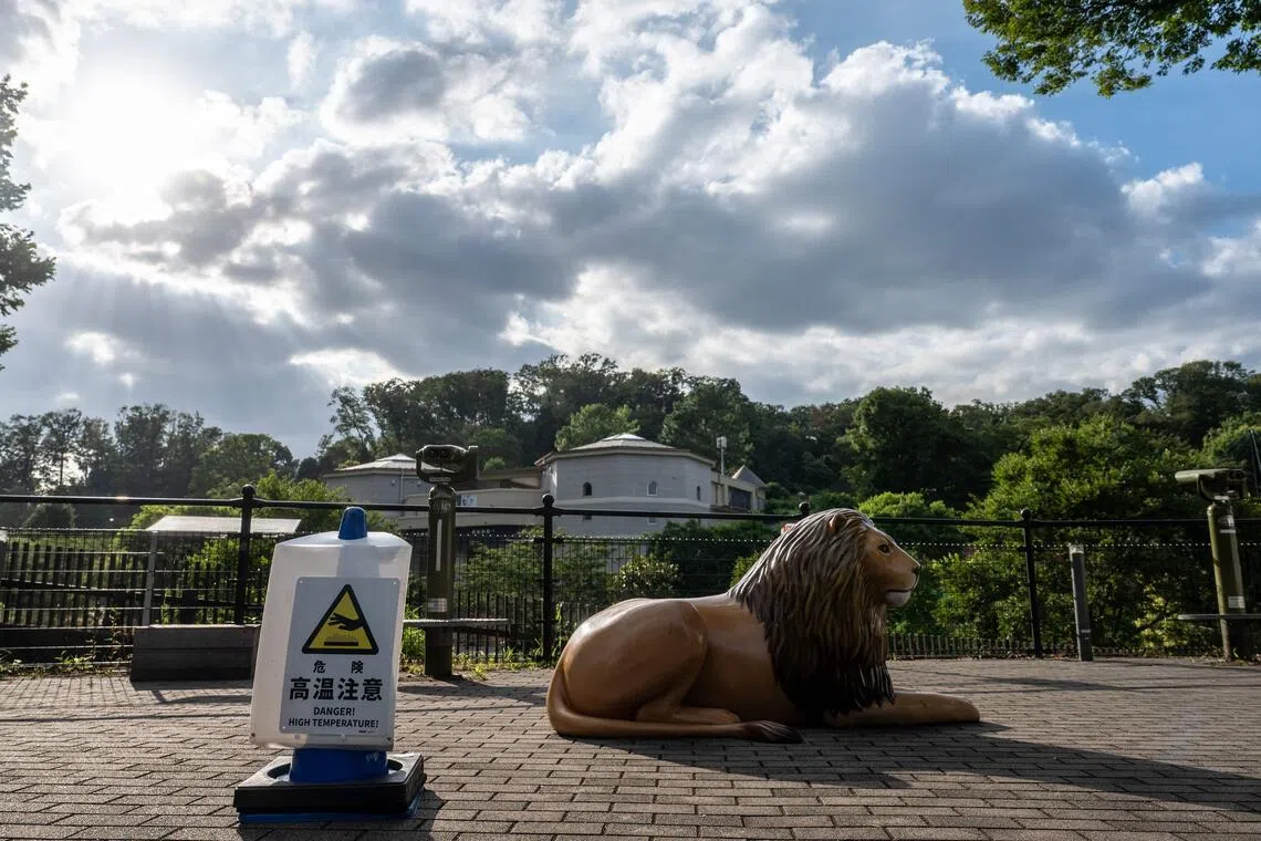 Japanese zoos, aquariums overhaul practices amid animal welfare push