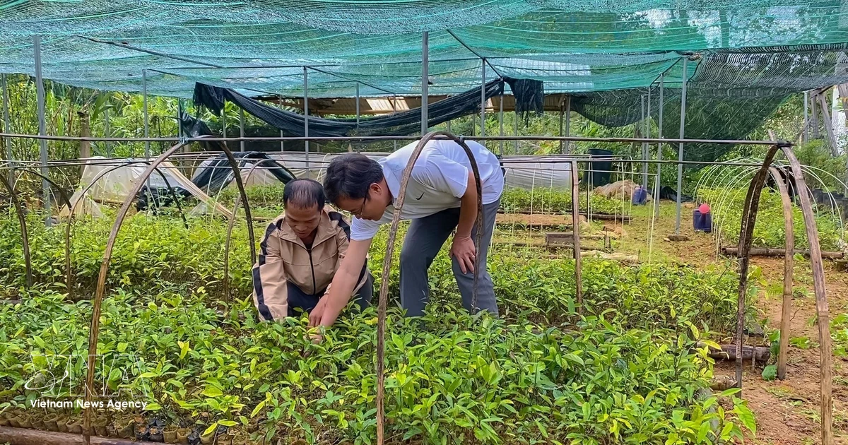 Da Nang charts path to growth by linking agriculture and tourism sectors