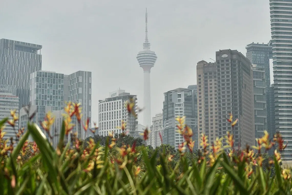 Regional haze threatens migratory bird populations across Malaysia