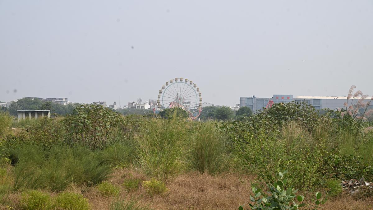 दिल्ली में प्रदर्शन के लिए नई जगहें खस्ता हाल में, बुनियादी ढांचे की कमी