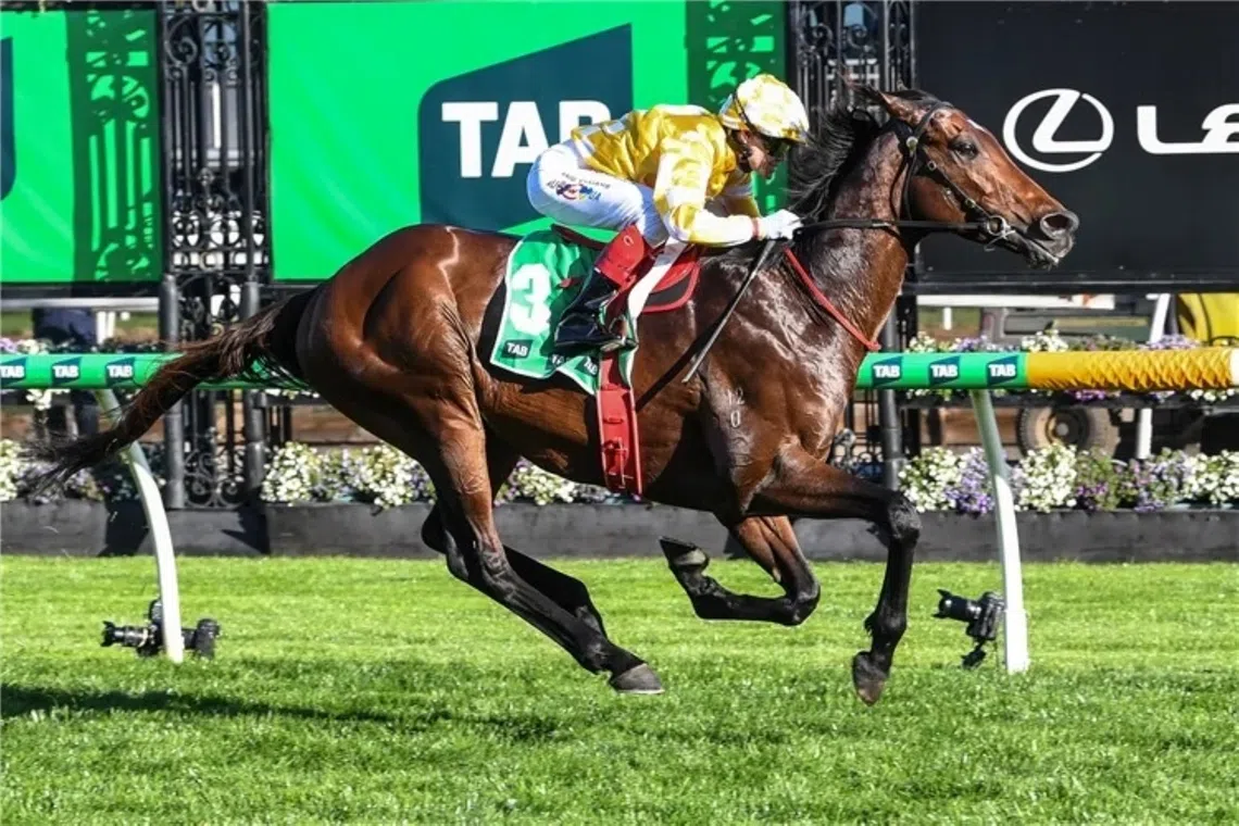 Sir Delius seeks back-to-back victory in Turnbull Stakes