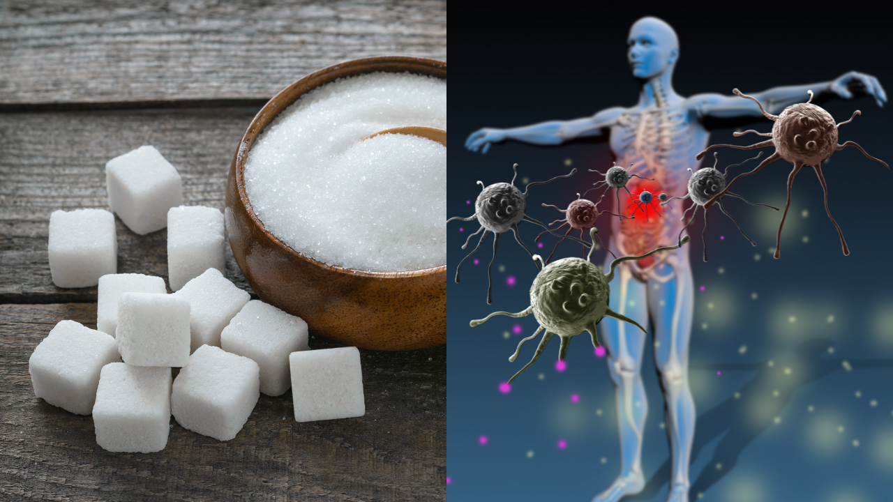 High sugar intake worsens gut damage during antibiotic treatment, study finds