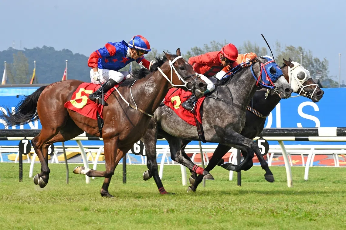 Honor Claims Merdeka Cup Victory; Trainer Eyes Selangor Gold Cup