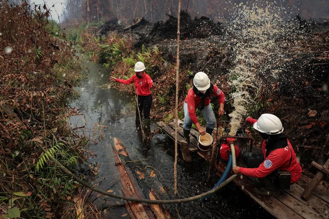 Prabowo's peatland control could strengthen Indonesia's haze fight