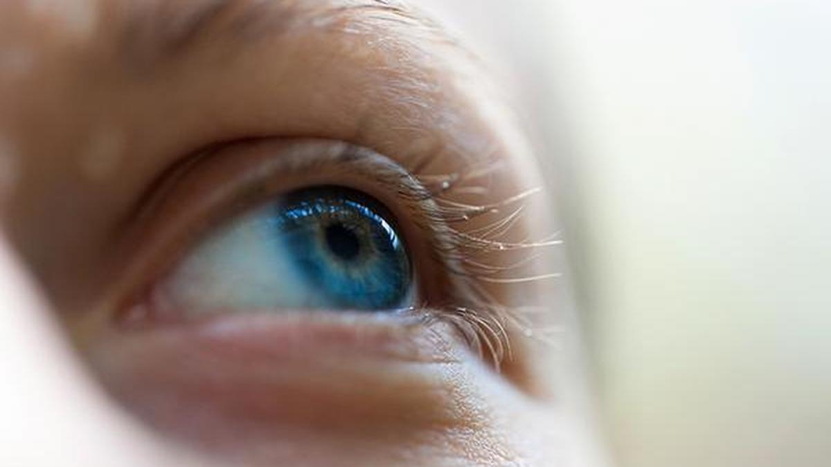 Kerala's corneal transplant push hampered by shortage of donor tissue