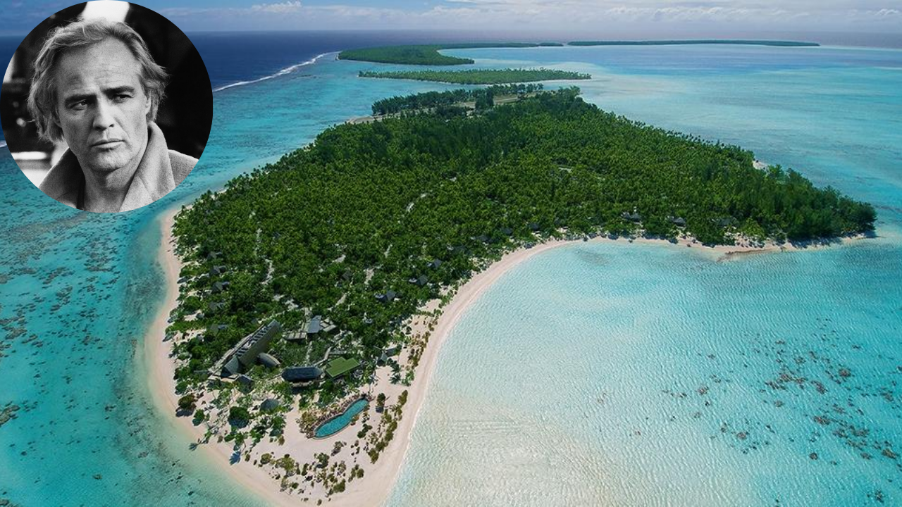 Marlon Brando's Polynesian Atoll Transforms Into Marine Wildlife Haven