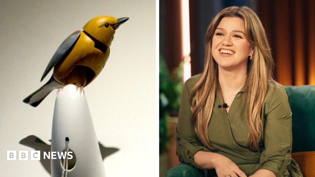 Brooklyn toy shop faces staff threats after Kelly Clarkson complaint