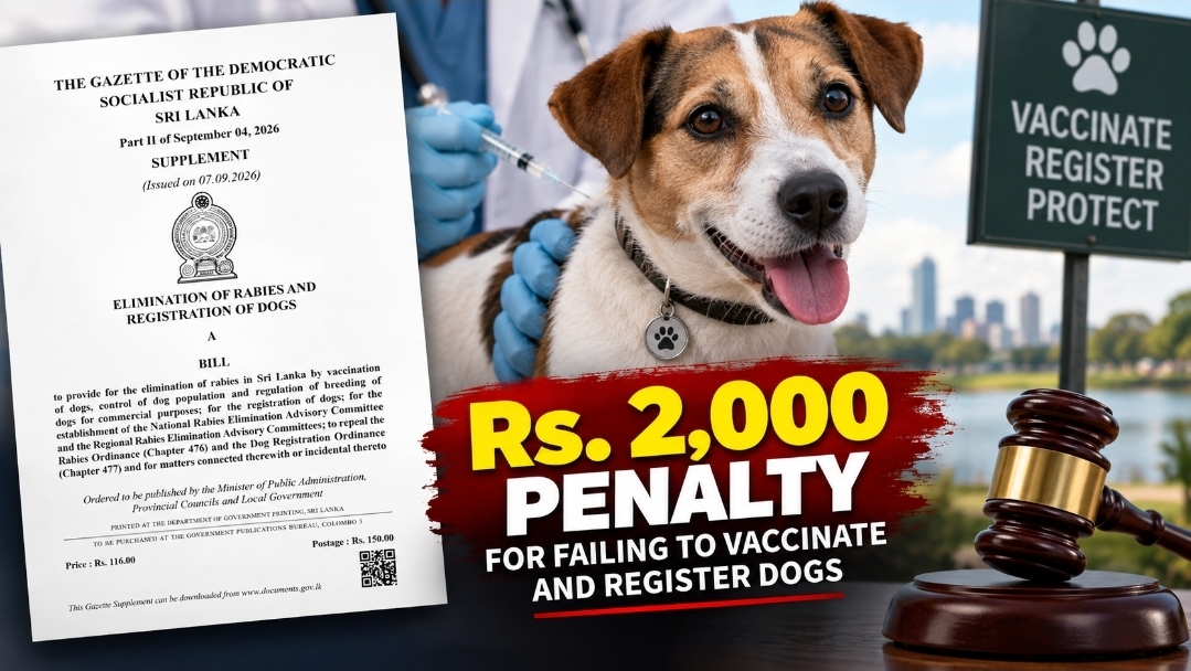 Sri Lanka to impose Rs. 2,000 fine for unvaccinated, unregistered dogs
