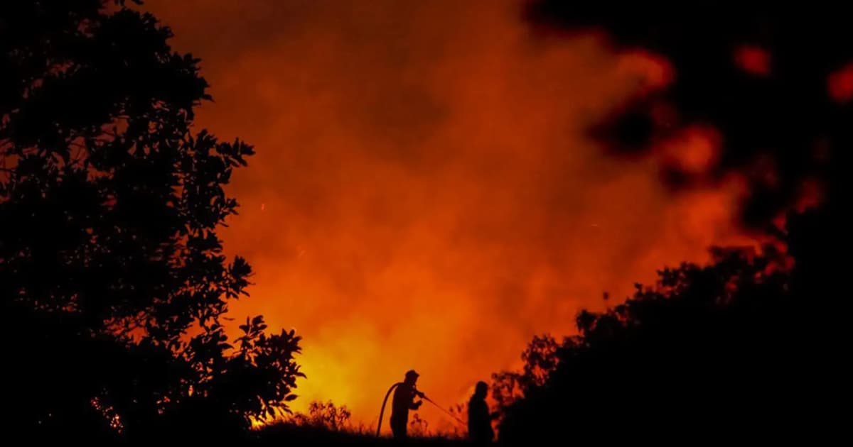 Ketua BNPB Baru Pertimbangkan Bantuan Asing Tangani Kebakaran Hutan