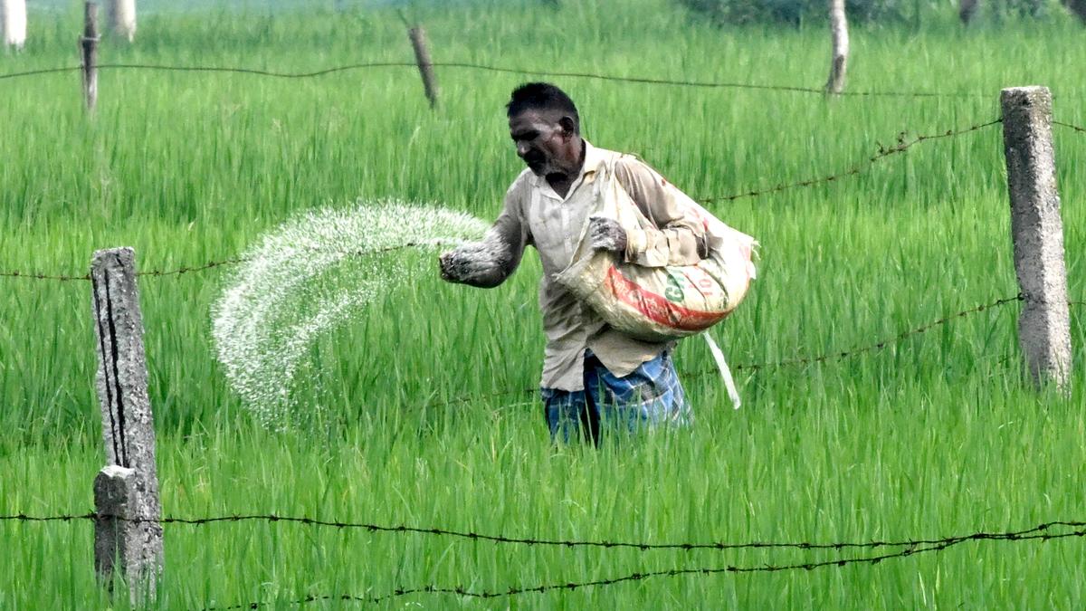 Farmers' coalition challenges new cooperative law as anti-federal
