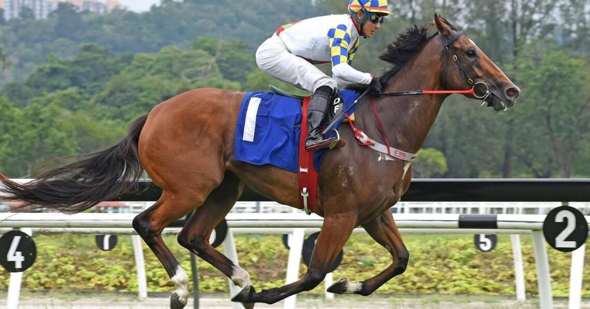 Ooi's filly poised for consecutive racing victories