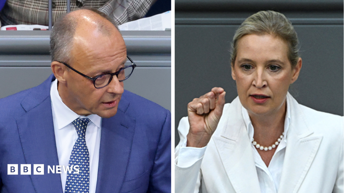 Merz condemns AfD's migration stance as 'ethnic cleansing' in heated debate
