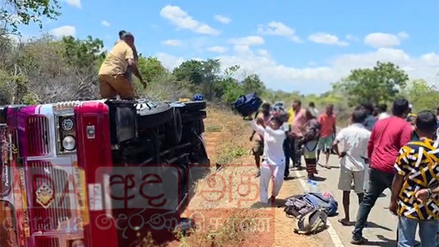 Wild elephant overturns bus on southern road; 10 injured
