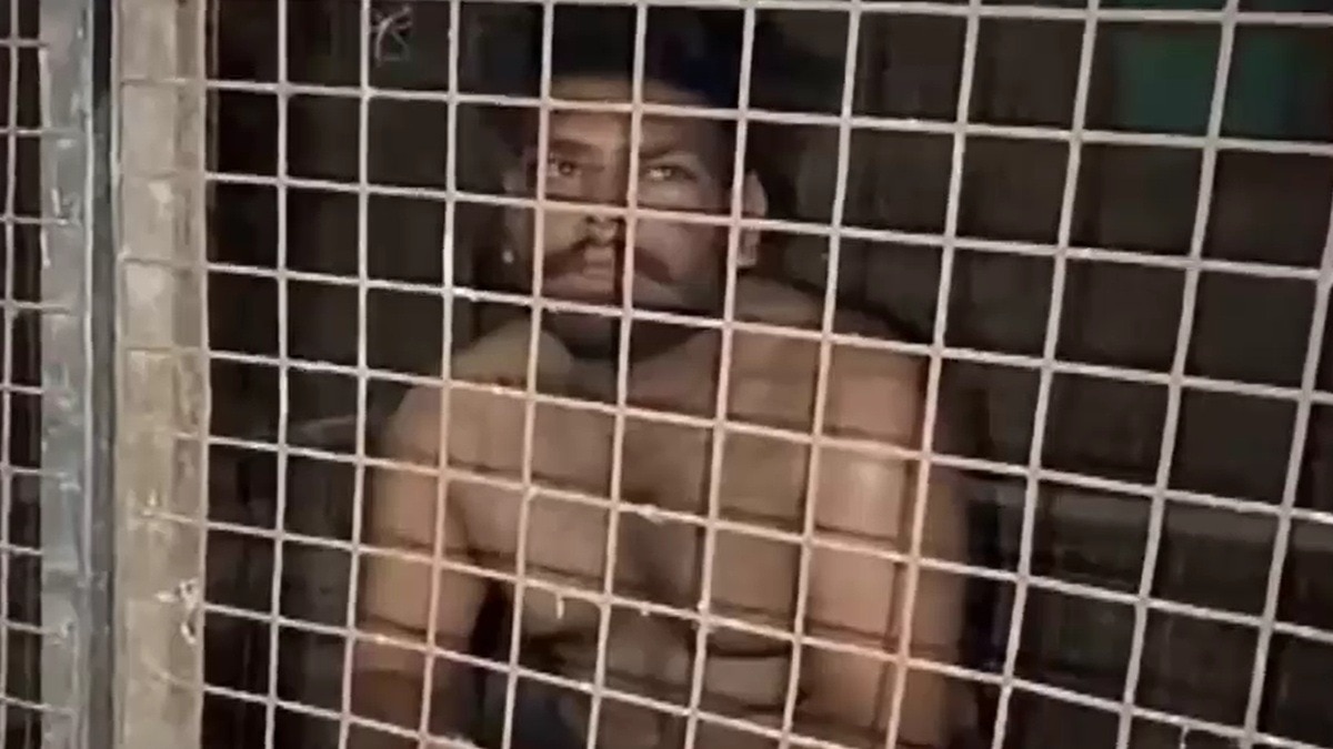 Punjab man brutalized in dog cage over road accident dispute