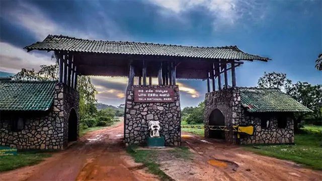 Yala National Park closes two main blocks for temporary maintenance