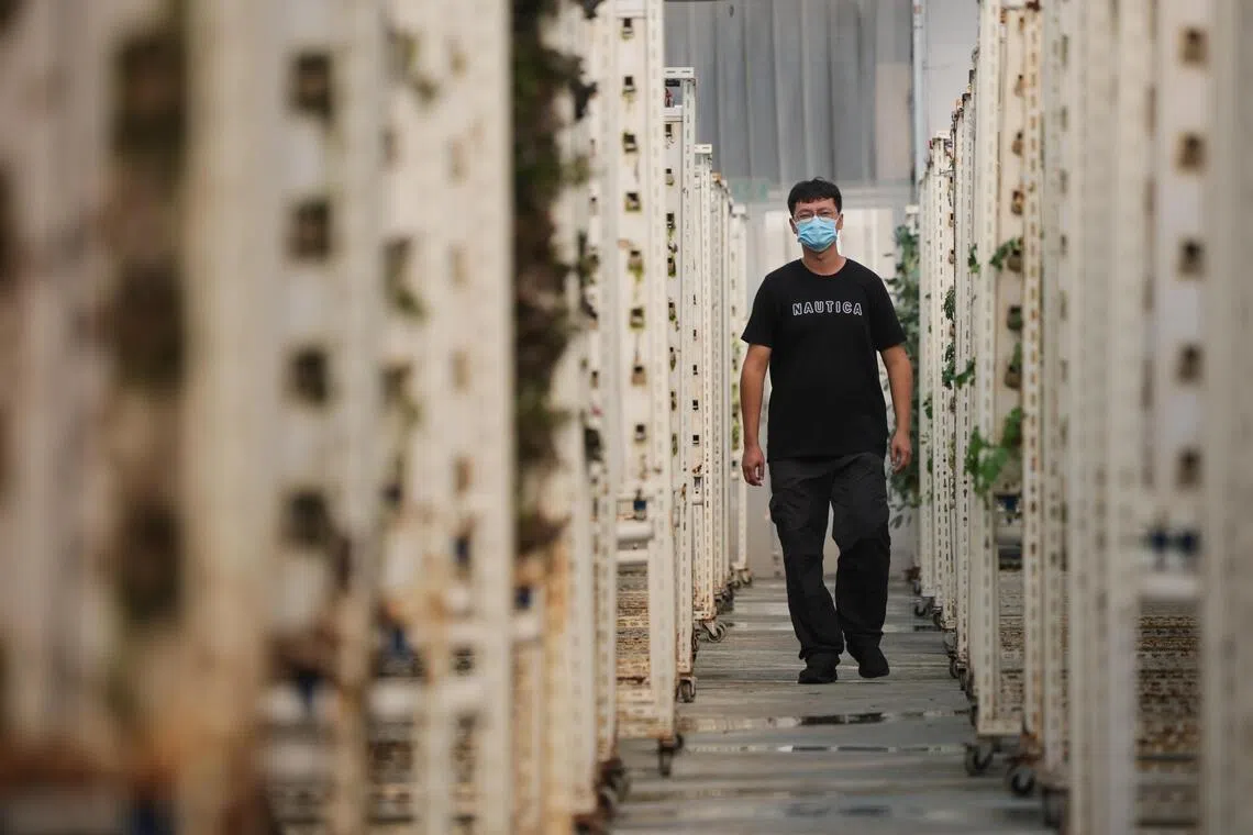 Man solves genetic mystery after years of unexplained health struggles