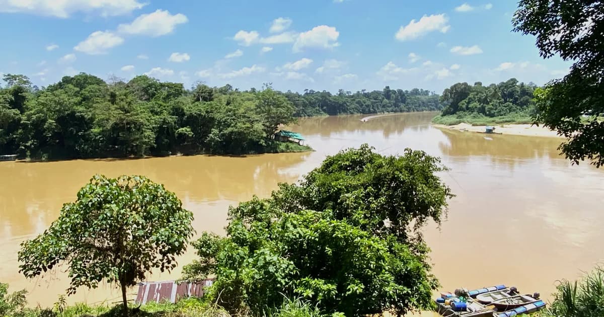 Kumpulan alam sekitar desak kerajaan Pahang dedah syarat nyahwarta hutan
