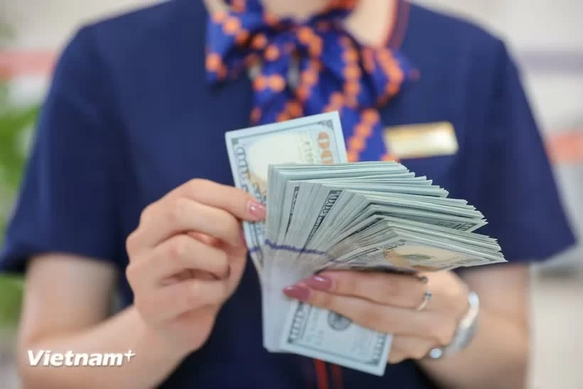Vietnam dong strengthens as reference exchange rate rebounds
