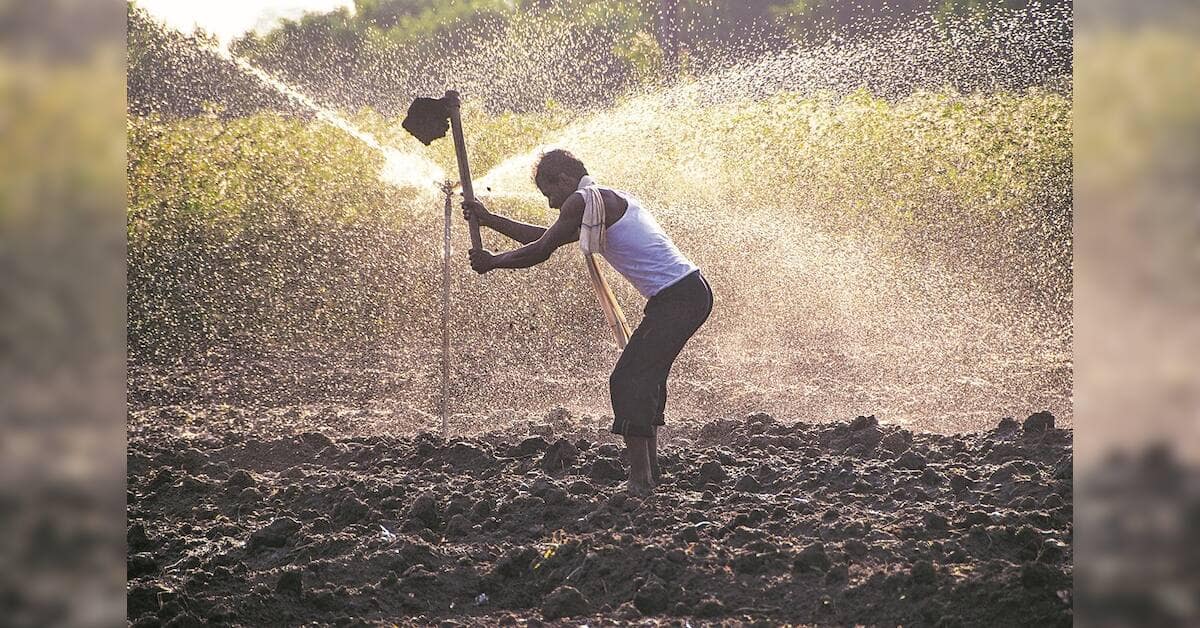 Rural India showing resilience to monsoon volatility, RBI analysis suggests