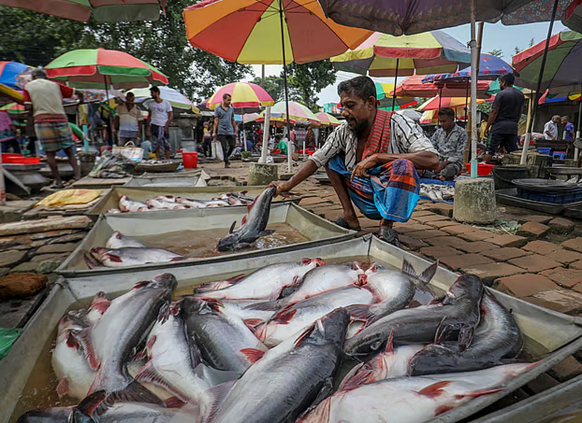 Regional Leaders Mark Key Developments Across South Asia