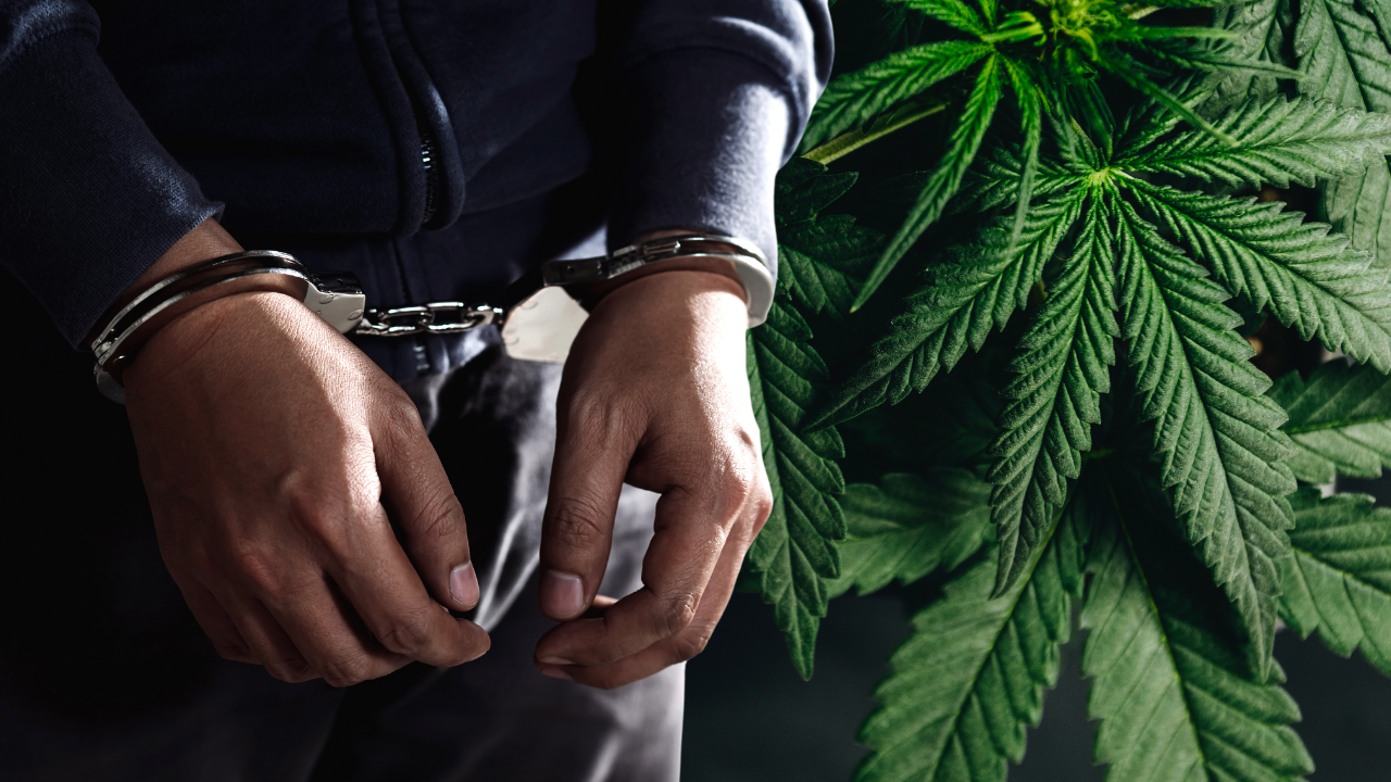 Mahigit 62 milyong pisong illegal droga, nahabol sa isang araw