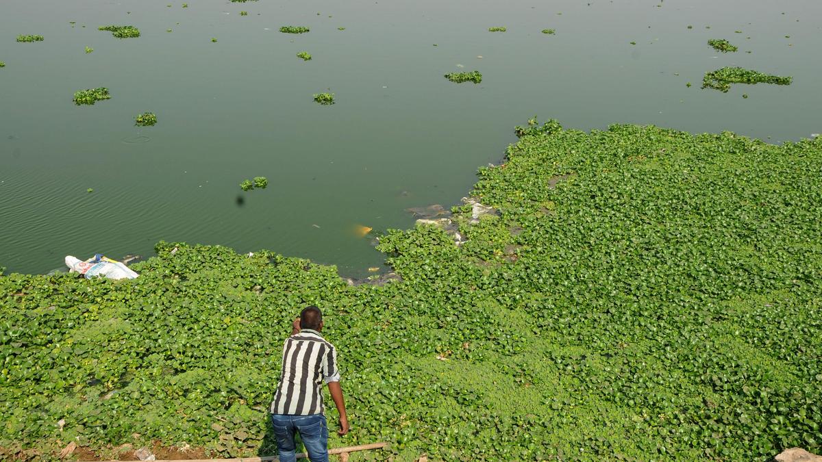 Kapra Lake restoration gains momentum with farmers' voluntary land contribution