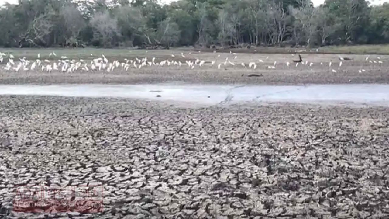 Anuradhapura's ancient tank system faces critical water shortage