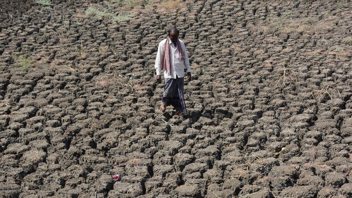Karnataka faces severe monsoon deficit, second lowest in seven decades