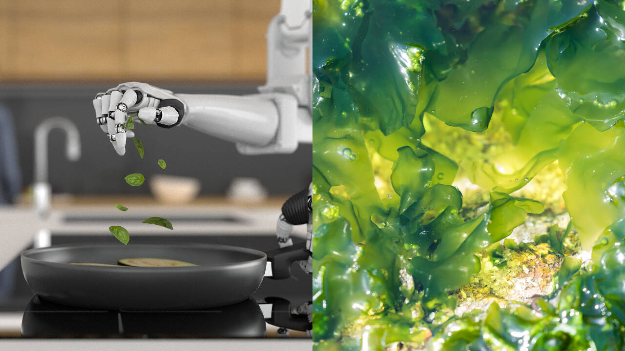 Scientists develop robotic arm powered by living algae cells