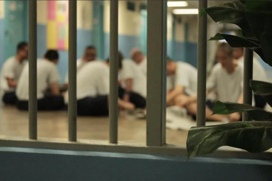 Singapore open to chemical castration for sex offenders if effective