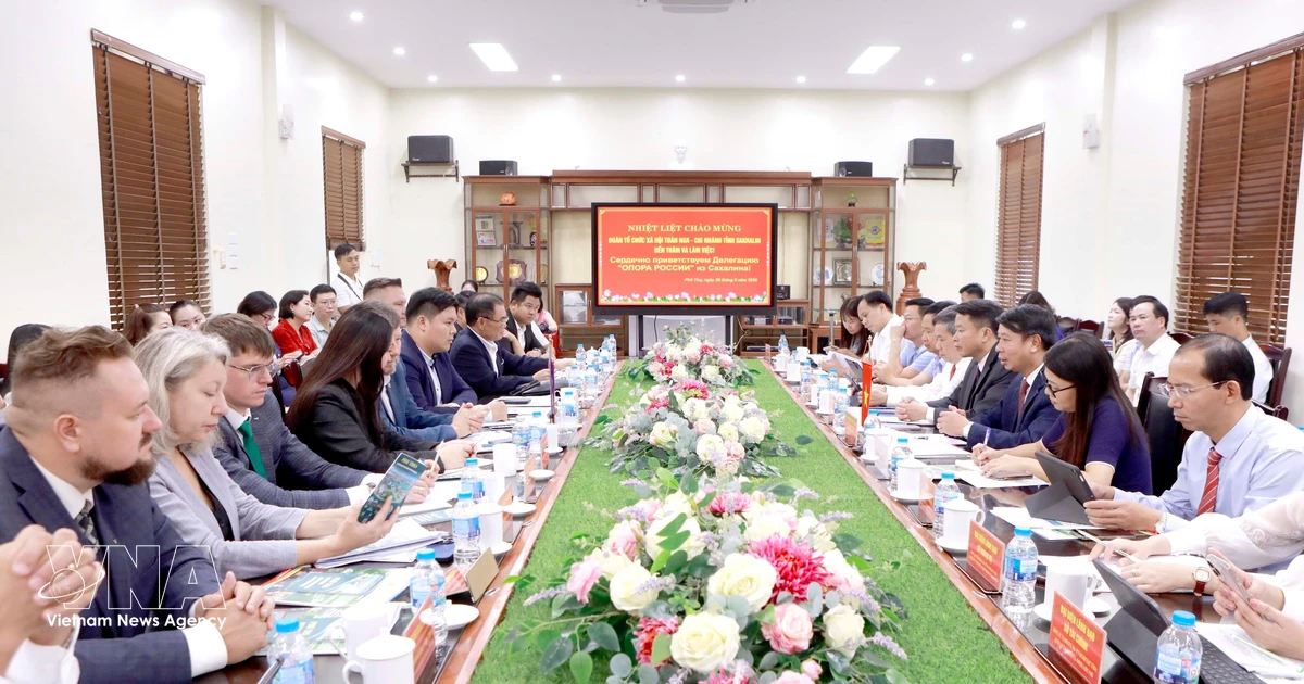 Phu Tho Province Eyes Russian Partnerships in Skills Training, Commerce