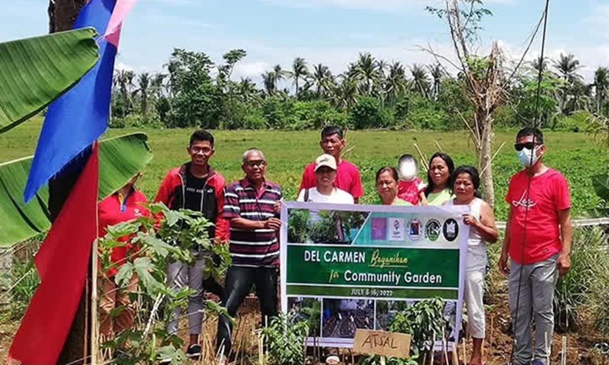Siargao municipality wins national award for farm-to-table food security program
