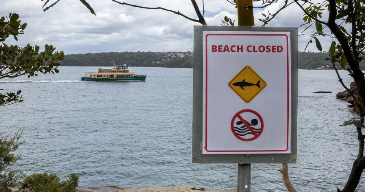 Shark attack claims life of swimmer in Western Australia