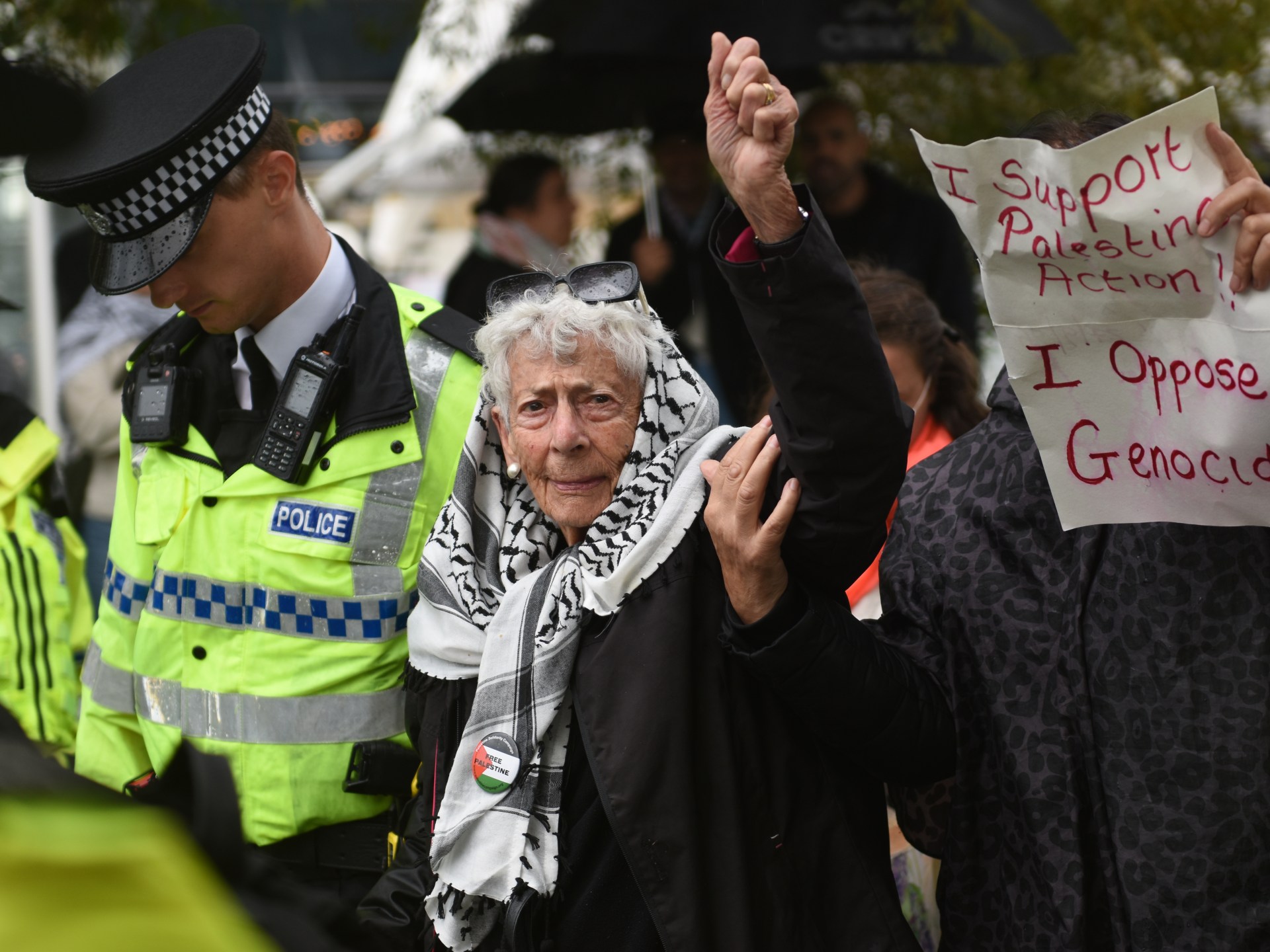 Veteran human rights lawyer arrested over Palestine activism