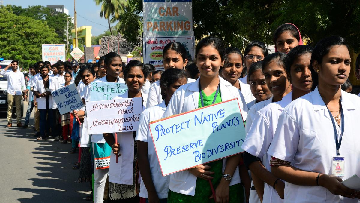 AYUSH sector sees rapid expansion as private colleges drive enrolment surge