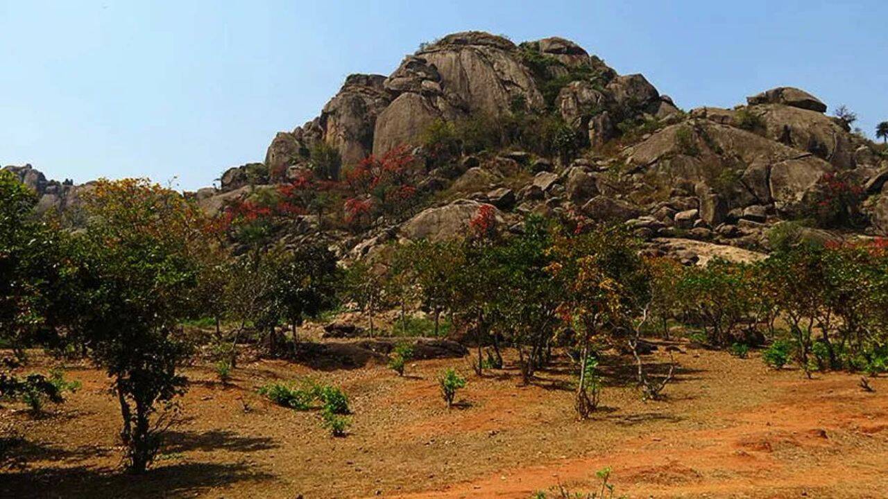 India's 3.4-billion-year-old rocks yield Earth's oldest life evidence