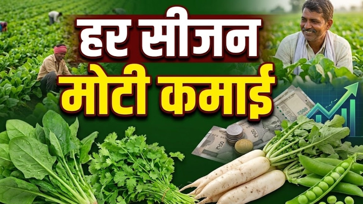 High-Yield Vegetables Offer Year-Round Farming Profits for Indian Cultivators
