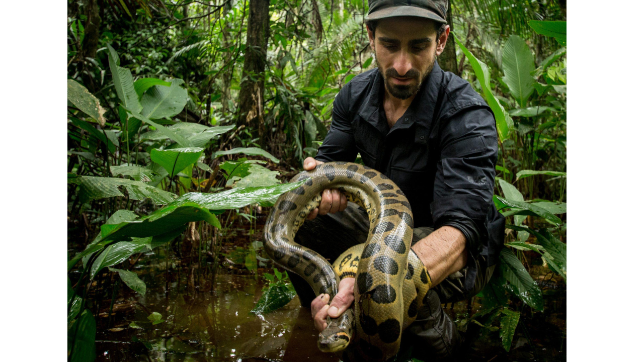American conservationist shields 160,000 acres of Amazon rainforest